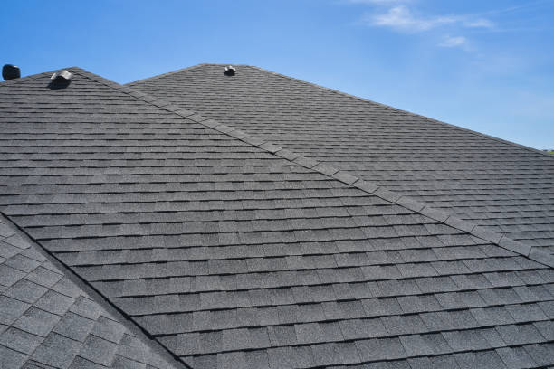 Best Roof Leak Repair  in Cottage Grove, MN